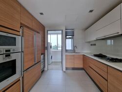 Suites @ Cairnhill (D9), Apartment #470829011